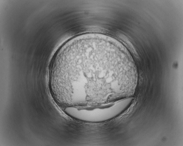 X0000097990804200804211102