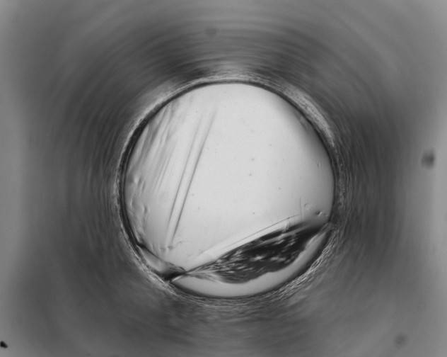 X0000097990805200804211102