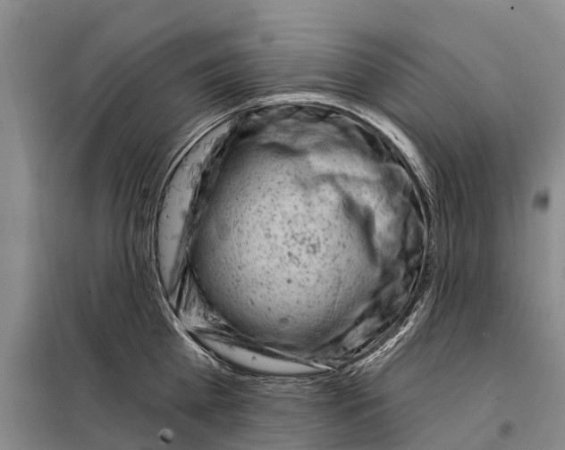 X0000097990809200804211102