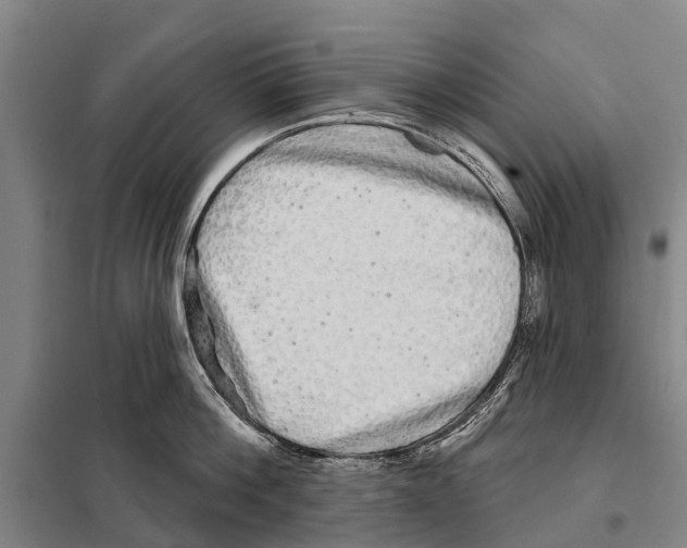 X0000097990812200804211102