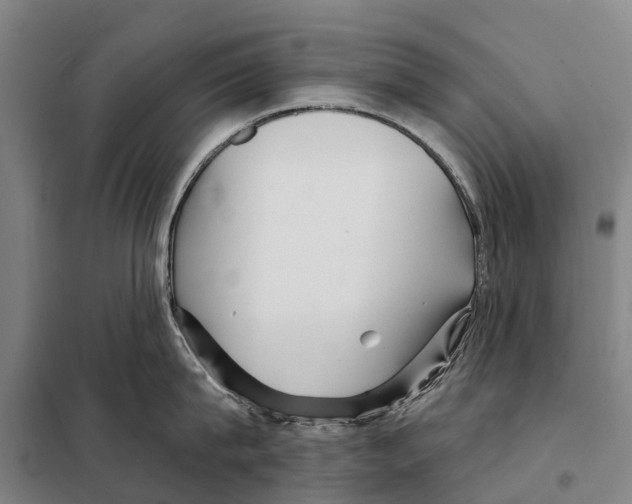 X0000097990815200804211102