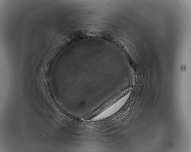 X0000097990817200804211102