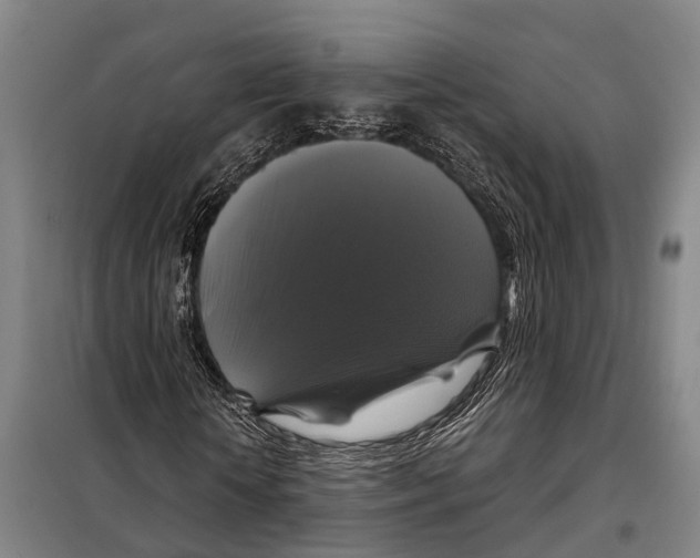 X0000097990818200804211102