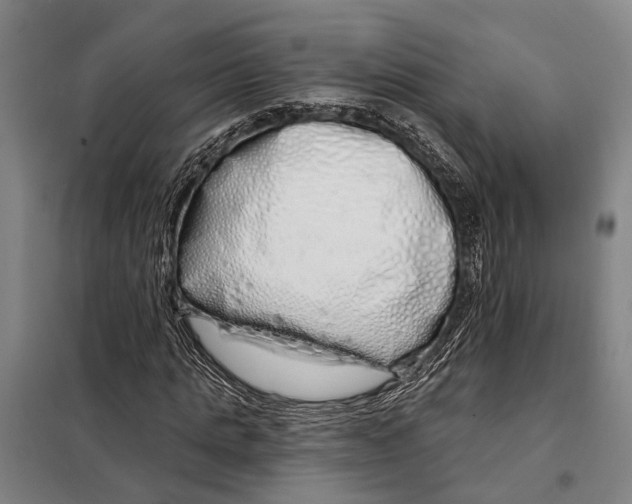 X0000097990821200804211102