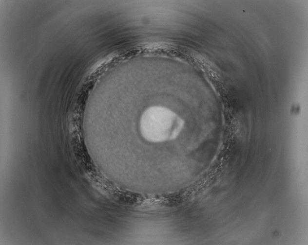 X0000097990824200804211102