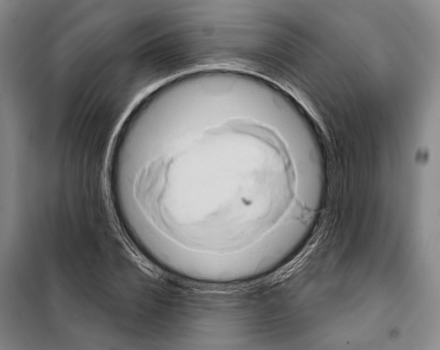 X0000097990832200804211102