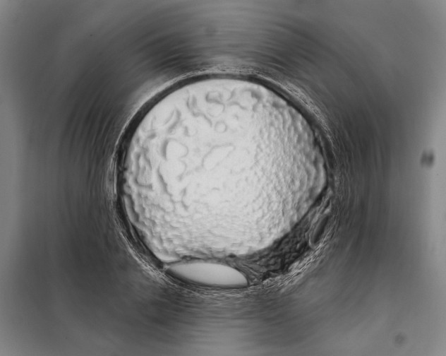 X0000097990838200804211102