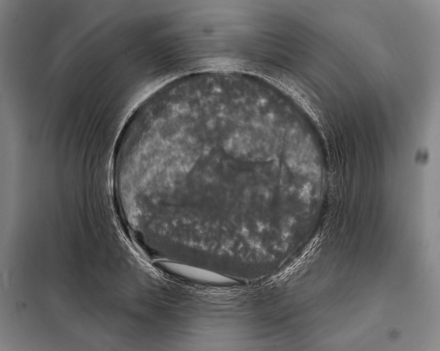 X0000097990839200804211102