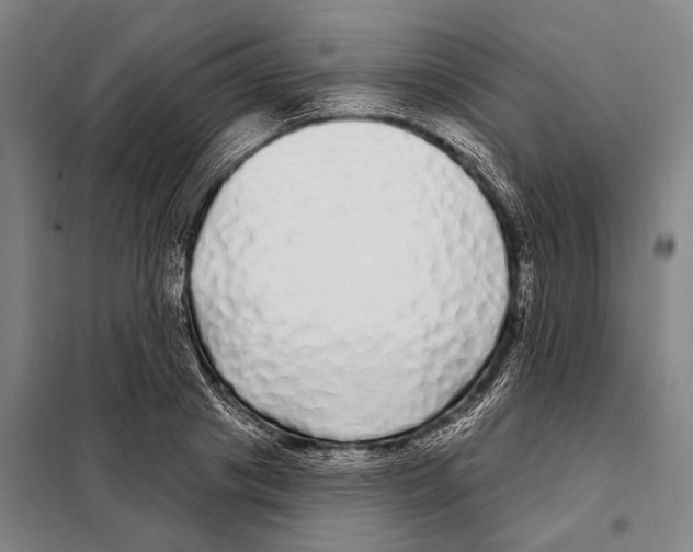 X0000097990841200804211102