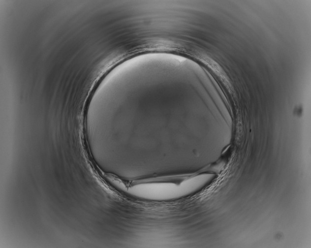 X0000097990850200804211102