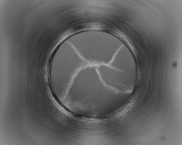 X0000097990851200804211102