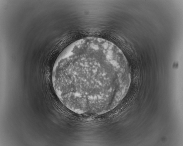 X0000097990866200804211101