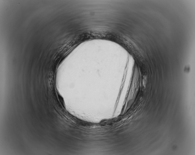 X0000097990867200804211101