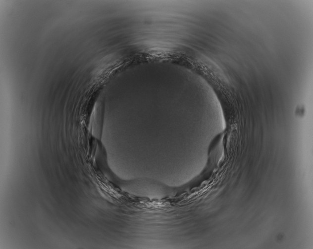 X0000097990868200804211101