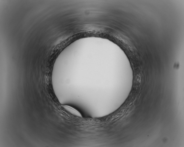 X0000097990869200804211101