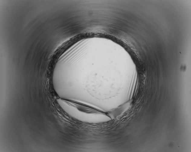 X0000097990872200804211101