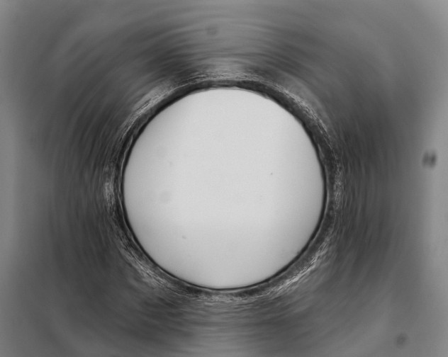 X0000097990873200804211101