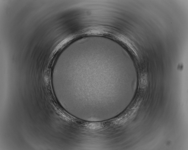 X0000097990874200804211101