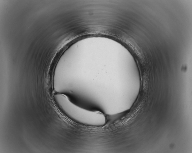 X0000097990876200804211101