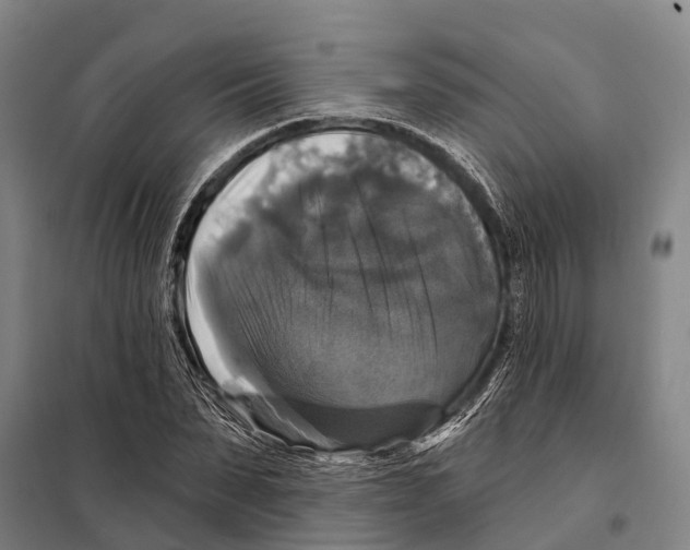 X0000097990879200804211101