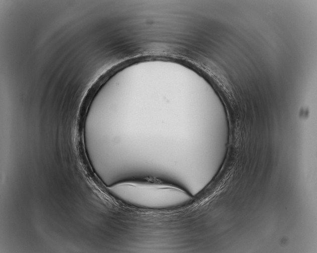 X0000097990880200804211101