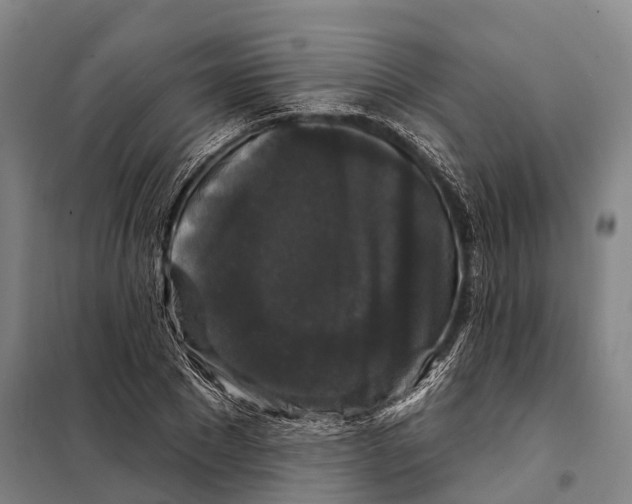 X0000097990881200804211101