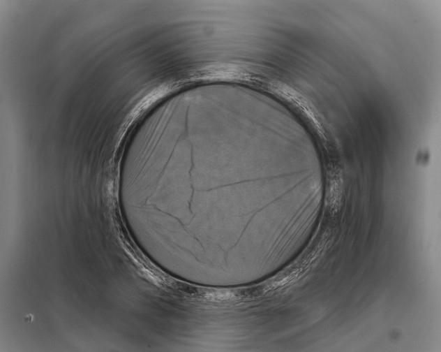 X0000097990882200804211101