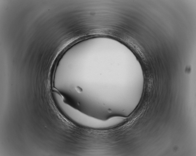 X0000097990884200804211101