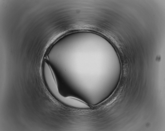 X0000097990885200804211101