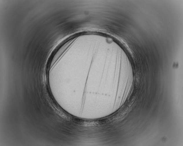 X0000097990887200804211101