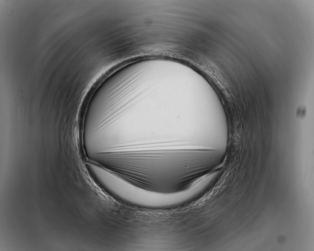 X0000097990888200804211101