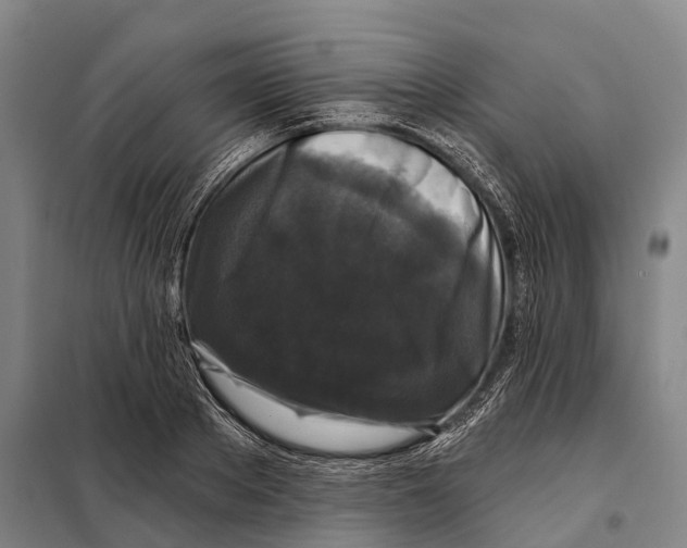 X0000097990889200804211101