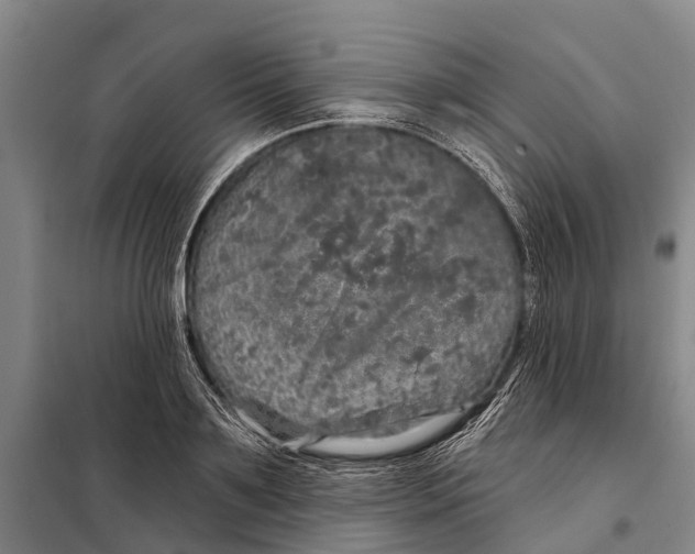 X0000097990891200804211101