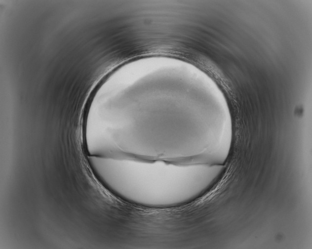 X0000097990892200804211101