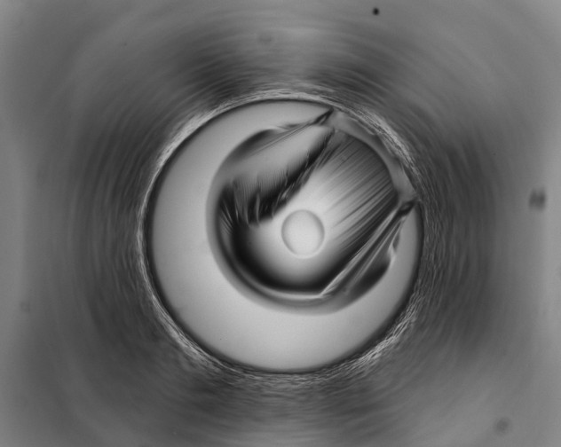 X0000097990893200804211101