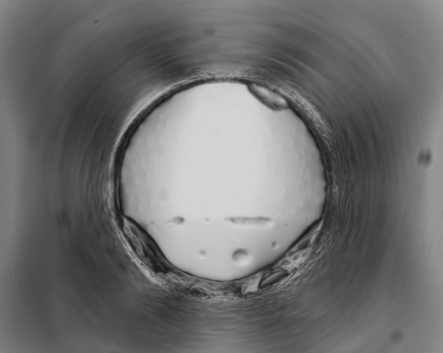 X0000097990894200804211101