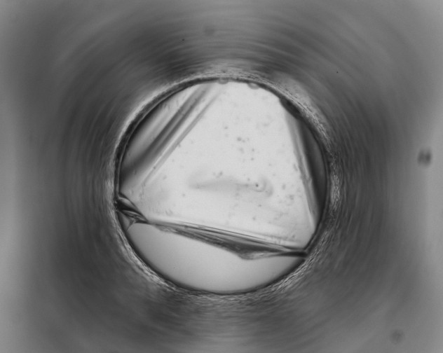 X0000097990896200804211101