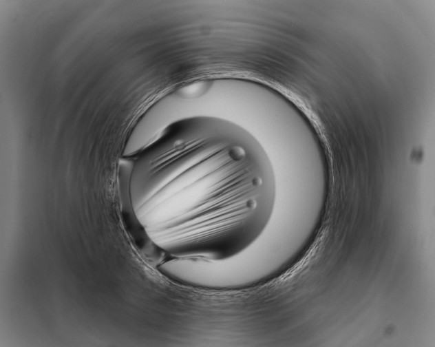 X0000097990897200804211101