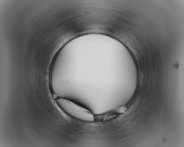 X0000097990898200804211101