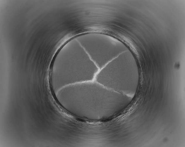 X0000097990899200804211101