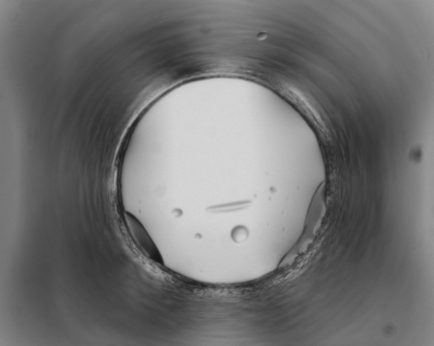 X0000097990900200804211101