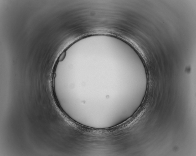 X0000097990901200804211101