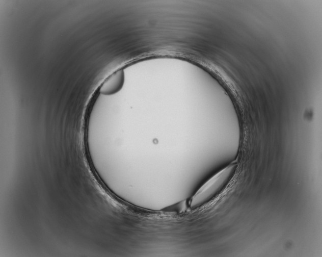 X0000097990902200804211101