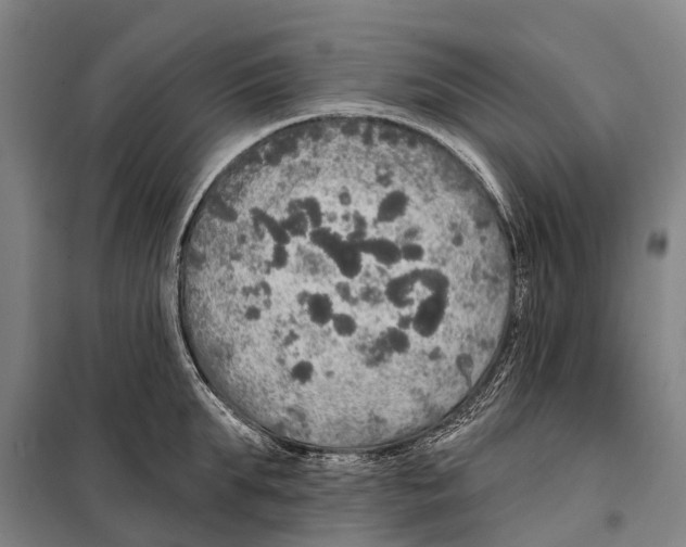 X0000097990903200804211101