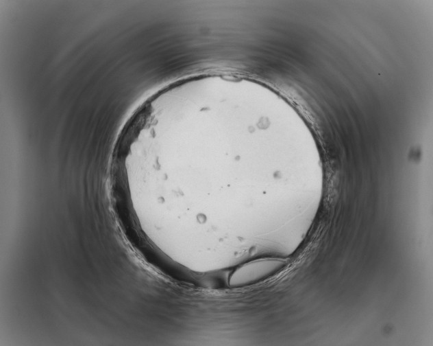 X0000097990904200804211101