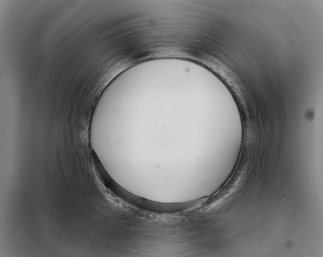 X0000097990905200804211101