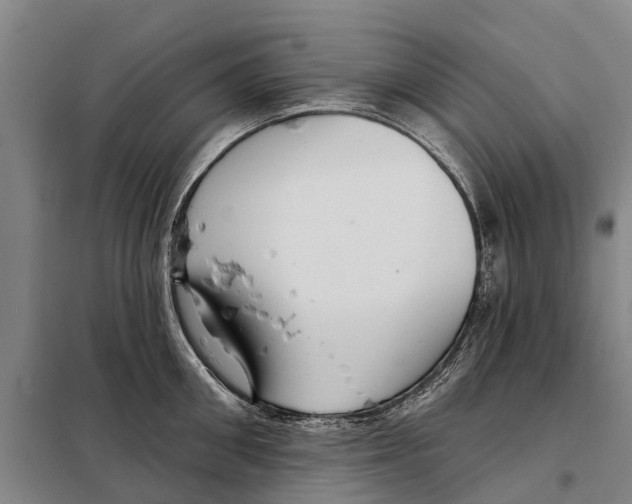 X0000097990906200804211101