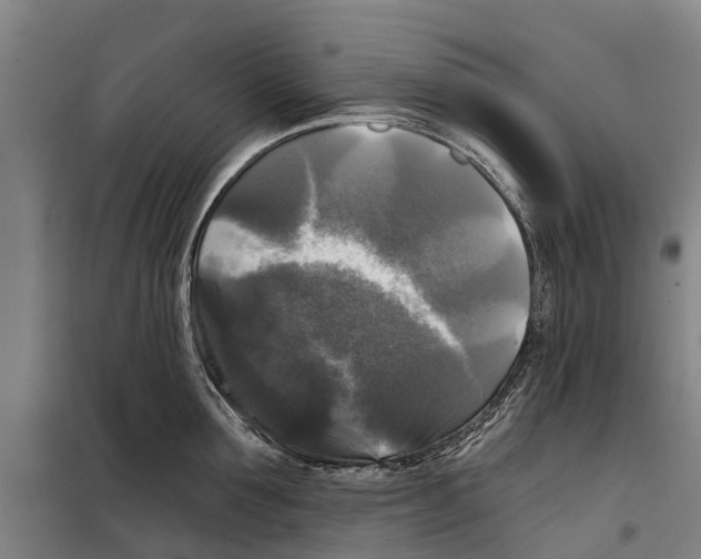 X0000097990907200804211101