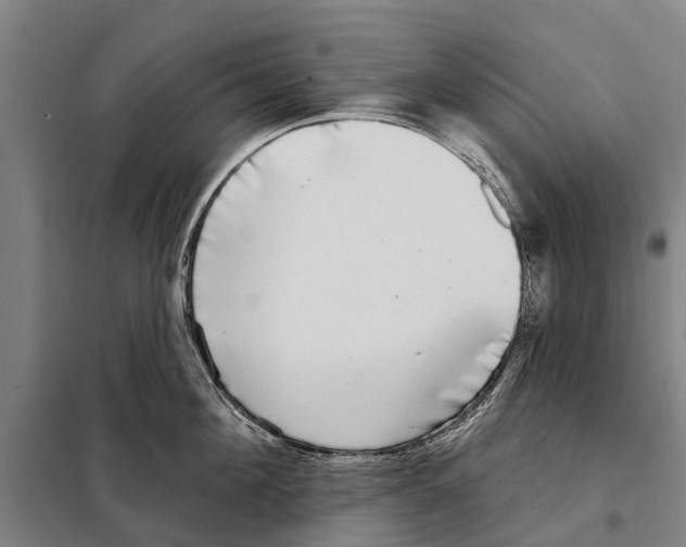 X0000097990908200804211101