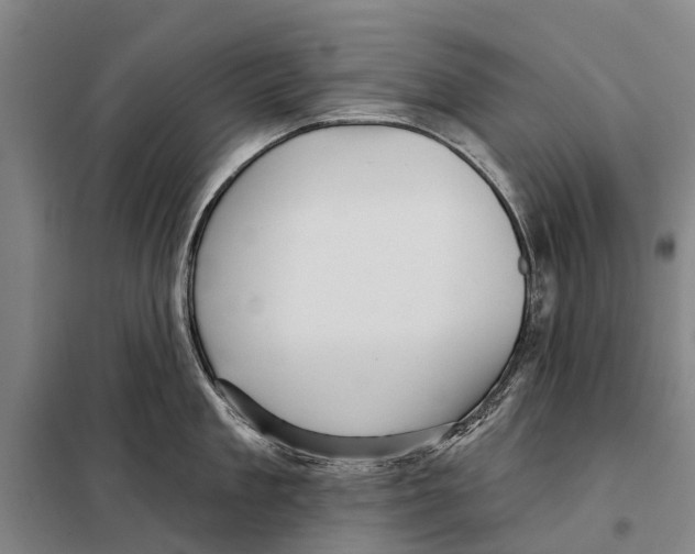 X0000097990909200804211101